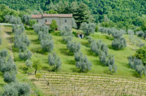 Agriturismo Bindozzino Castiglione D'orcia